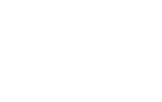 Vellichor Risk